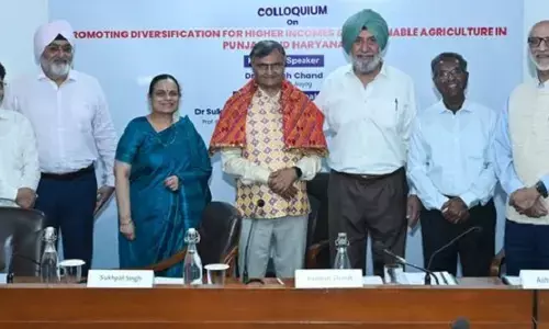 farmers ਨੂੰ ਮੁਫ਼ਤ ਬਿਜਲੀ ਬੰਦ ਕਰਕੇ cash incentives ਦੇਣ ਦਾ ਸੁਝਾਅ