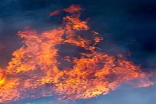 California ’ਚ ਭੜਕੀ ਜੰਗਲਾਂ ਦੀ ਅੱਗ