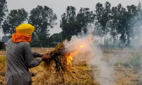 Punjab government ਨੇ ਪਰਾਲੀ ਪ੍ਰਬੰਧਨ ਲਈ 600 ਕਰੋੜ ਰੁਪਏ ਮਨਜ਼ੂਰ ਕੀਤੇ Punjab government ਨੇ ਪਰਾਲੀ ਪ੍ਰਬੰਧਨ ਲਈ 600 ਕਰੋੜ ਰੁਪਏ ਮਨਜ਼ੂਰ ਕੀਤੇ