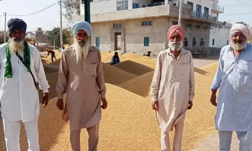 ਇੰਸਪੈਕਟਰਾਂ ਦੀ strike ਕਾਰਨ ਕਣਕ ਦੀ ਖ਼ਰੀਦ ਦਾ ਕੰਮ ਵਿਚਾਲੇ ਲਟਕਿਆ