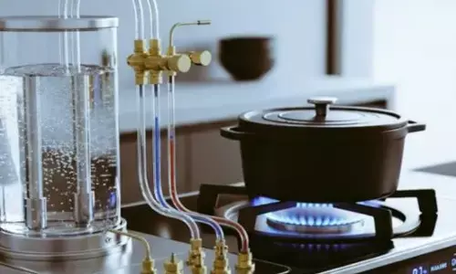 ਕੀ ਹੁਣ ਪਾਣੀ ਨਾਲ ਚੱਲੇਗਾ ਤੁਹਾਡਾ ਚੁੱਲ੍ਹਾ? ਐਲਪੀਜੀ (LPG) ਦੀਆਂ ਕਤਾਰਾਂ ਤੋਂ ਮਿਲੇਗੀ ਮੁਕਤੀ