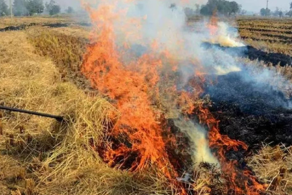 2 crores fine Punjab Farmers