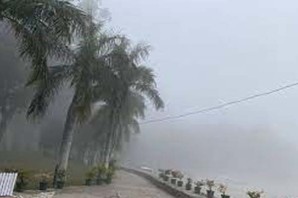 Dense fog red alert in Punjab
