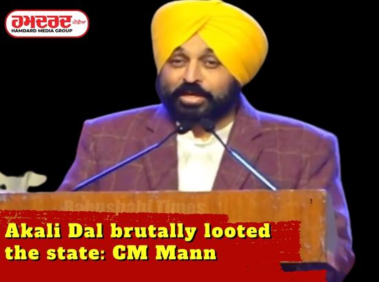 Akali Dal brutally looted the state: CM Mann