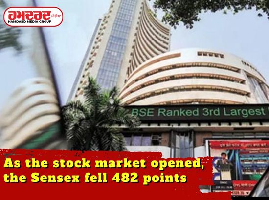 As the stock market opened the Sensex fell 482 points