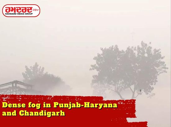 Dense fog in Punjab-Haryana and Chandigarh