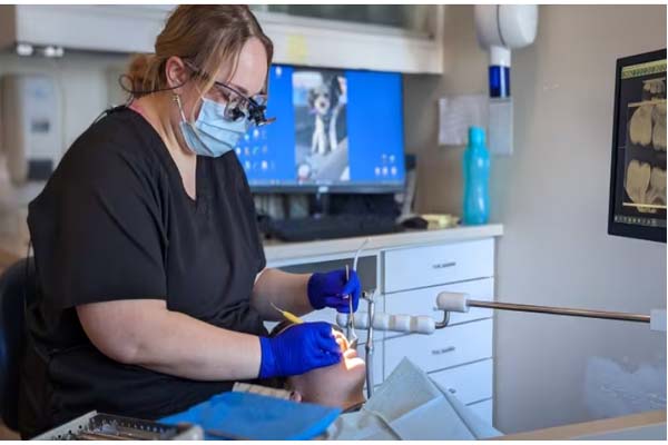 43 million Canadians will be deprived of affordable dental treatment