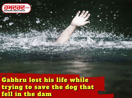 Gabhru lost his life while trying to save the dog that fell in the dam