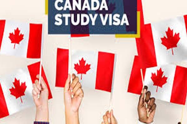 2 lakh students did not go to any college or university in Canada