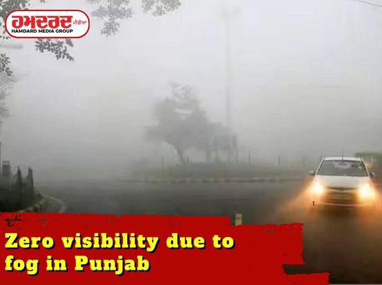 Zero visibility due to fog in Punjab cold wave in Haryana