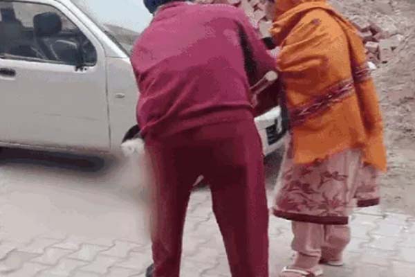 A brutal attack on a stray dog