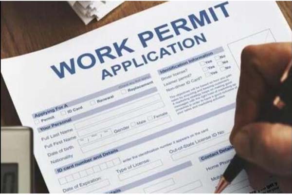 America announced to issue 1 lakh work permits