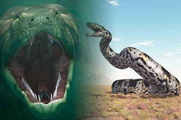 Snake Fossil Found : ਭਾਰਤ ਵਿੱਚ ਮਿਲਿਆ ਸਭ ਤੋਂ ਵੱਡੇ ਨਾਗ ਦਾ 50 ਮਿਲੀਅਨ ਸਾਲ ਪੁਰਾਣਾ ਪੰਜ਼ਰ, ਨਾਮ ਹੈ ‘ਵਾਸੂਕੀ’
