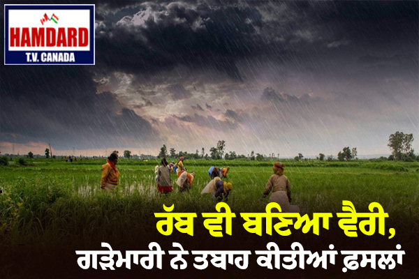 Punjab Weather Update: ਰੱਬ ਵੀ ਬਣਿਆ ਵੈਰੀ, ਗੜੇਮਾਰੀ ਨੇ ਤਬਾਹ ਕੀਤੀਆਂ ਫ਼ਸਲਾਂ